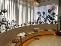 -韩芙莱芳疗spa健康管理