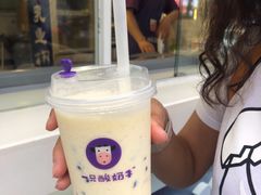 -一只酸奶牛(奎星楼店)