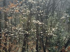 -波尔登森林公园