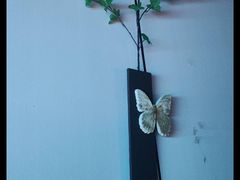 -蓉府金足印象影院式足道·按摩·SPA·美食(青白江31分店)