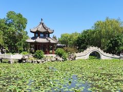 -莲池书院博物馆