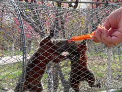 -水上乐园·欢乐世界