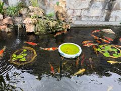 -鸡鸣赐茶(鸡鸣寺路店)