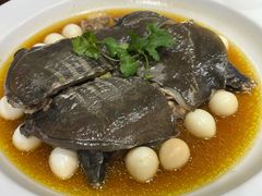 干蒸甲鱼-天福苑(崇宁路店)