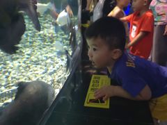 -成都浩海立方海洋公园