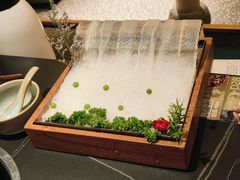-季季山·云南野生菌火锅(上海首店)