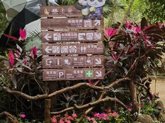 -海南热带野生动植物园