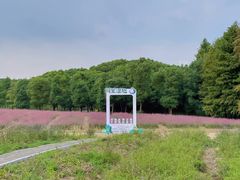 -同里国家湿地公园