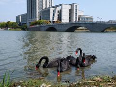 -江南大学(蠡湖校区)