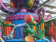 -南宫五洲植物乐园