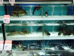 -盒马鲜生(顺义店)