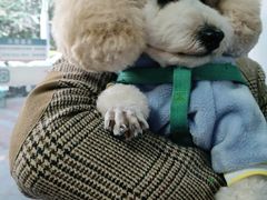 -宠颐生猫科·内科皮肤科(西平世纪城店)