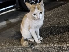 -耙吉吉川味小酒馆(本地人回头店)