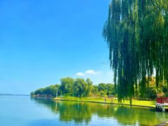 -丫丫蟹庄·苏式园林农家乐·阳澄湖大闸蟹(阳澄湖莲花岛店)