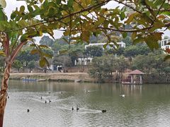 -中国移动南方基地