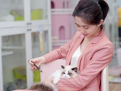 -青奢宠物·青奢猫舍