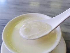 正宗姜撞奶-沙湾姜撞奶甜品店(昌岗中路店)