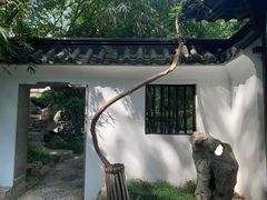 -静安公园(静安寺街道)