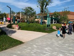 -季高兔窝窝亲子园(上海薰衣草公园店)