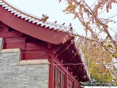 -元大都城垣遗址公园