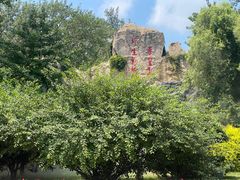 -秦皇岛野生动物园