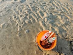 -红树林天天赶海