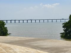 -宝安西湾红树林湿地公园