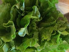 -椰夫人·养生椰子鸡(金沙洲永旺店)