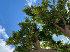 -前小桔亲子创意农场·草莓采摘·露营烧烤