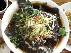 清蒸多宝鱼-张会海鲜饭店(东戴河店)