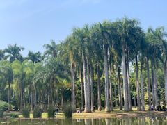 -中国科学院西双版纳热带植物园