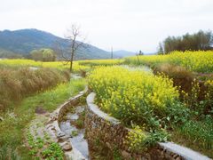 -塔川景区