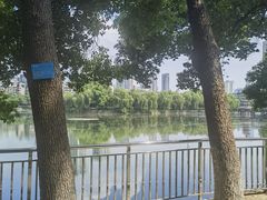 -宝岛公园