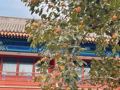-北京石刻艺术博物馆(五塔寺)