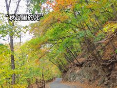 -本溪汤沟绿石谷森林公园