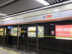 -红树湾(地铁站)