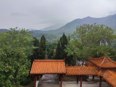 -深圳仙湖植物园