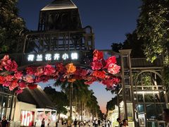 -花神·轻食简餐·咖啡馆·花卉绿植(荷兰花卉小镇店)