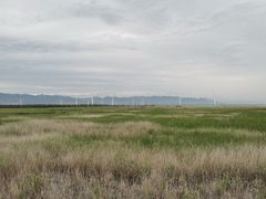 -野鸭湖国家湿地公园