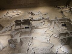 -洛阳周王城天子驾六博物馆