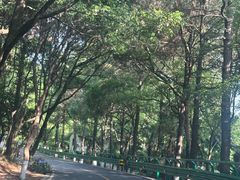 -南北湖风景区