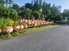 -上海长兴岛郊野公园