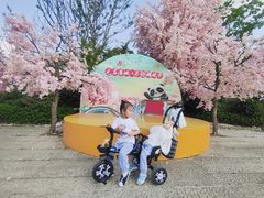 -苏州太湖国家湿地公园
