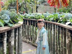 -正佳雨林生态植物园