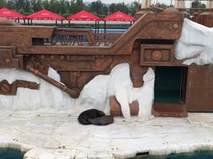 -秦皇岛乐岛海洋王国