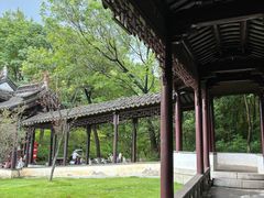 -八大山人梅湖景区