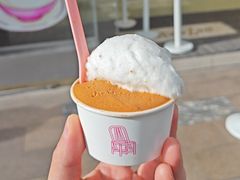 -红楼HONGLOU Gelato(淮海中路店)