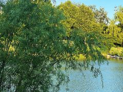 -万柳高尔夫俱乐部