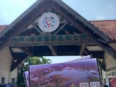 -上海海湾国家森林公园