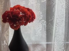 -糖房咖啡(南锣鼓巷店)